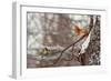 Hi-Dmitry Laudin-Framed Photographic Print