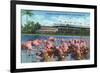 Hialeah, Florida - View of Flamingos outside the Hialeah Race Course-Lantern Press-Framed Art Print