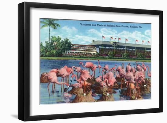 Hialeah, Florida - View of Flamingos outside the Hialeah Race Course-Lantern Press-Framed Art Print