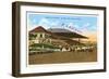 Hialeah Race Track, Miami, Florida-null-Framed Art Print