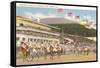 Hialeah Race Track, Miami, Florida-null-Framed Stretched Canvas