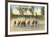 Hialeah Race Track, Miami, Florida-null-Framed Premium Giclee Print