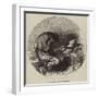 Hiawatha and Minnehaha-null-Framed Giclee Print