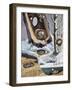 Hibernation-null-Framed Giclee Print