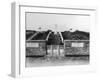 Hibers Trench Cemetery-null-Framed Photographic Print
