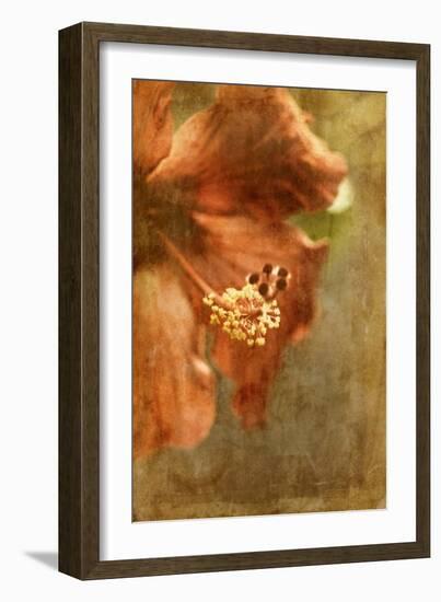 Hibiscus 1-Thea Schrack-Framed Giclee Print