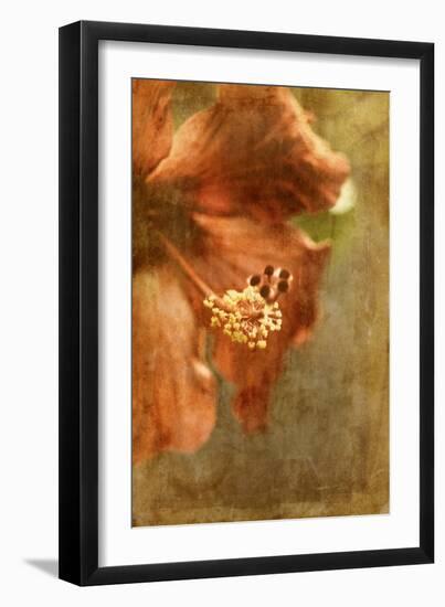 Hibiscus 1-Thea Schrack-Framed Giclee Print