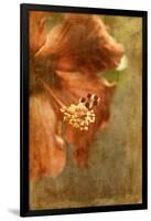 Hibiscus 1-Thea Schrack-Framed Giclee Print