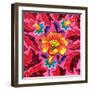 Hibiscus, 2020, (oil on canvas)-Jane Tattersfield-Framed Giclee Print