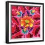 Hibiscus, 2020, (oil on canvas)-Jane Tattersfield-Framed Giclee Print