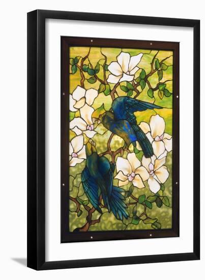 Hibiscus and Parrots, C.1910-20 (Leaded Fravile Glass)-Louis Comfort Tiffany-Framed Giclee Print