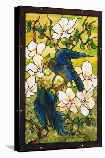 Hibiscus and Parrots, C.1910-20 (Leaded Fravile Glass)-Louis Comfort Tiffany-Stretched Canvas