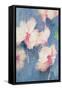 Hibiscus, Apricot-Karen Armitage-Framed Stretched Canvas