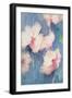 Hibiscus, Apricot-Karen Armitage-Framed Giclee Print