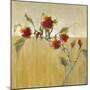 Hibiscus Blooms-Terri Burris-Mounted Art Print