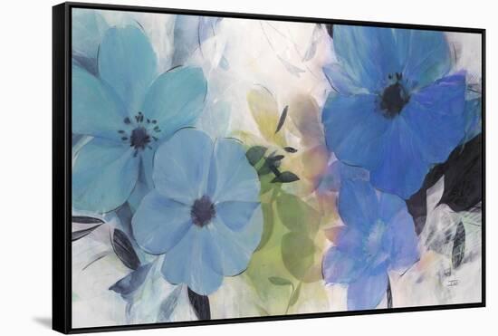 Hibiscus Blooms-Ivo Stoyanov-Framed Stretched Canvas