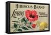 Hibiscus Brand - San Diego, California - Citrus Crate Label-Lantern Press-Framed Stretched Canvas