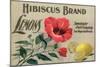Hibiscus Brand - San Diego, California - Citrus Crate Label-Lantern Press-Mounted Art Print
