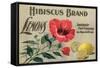 Hibiscus Brand - San Diego, California - Citrus Crate Label-Lantern Press-Framed Stretched Canvas