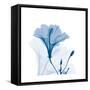 Hibiscus Chiller-Albert Koetsier-Framed Stretched Canvas