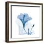 Hibiscus Chiller-Albert Koetsier-Framed Art Print