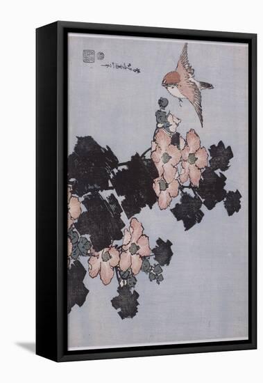 Hibiscus et moineau-Katsushika Hokusai-Framed Stretched Canvas