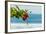 Hibiscus Flower at Popular Playa Guiones Beach-Rob Francis-Framed Photographic Print