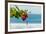 Hibiscus Flower at Popular Playa Guiones Beach-Rob Francis-Framed Photographic Print