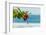 Hibiscus Flower at Popular Playa Guiones Beach-Rob Francis-Framed Photographic Print