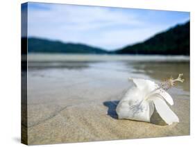 Hibiscus Flower on Beach, Perhentian Islands, Malaysia, Southeast Asia-Porteous Rod-Stretched Canvas