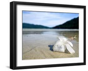 Hibiscus Flower on Beach, Perhentian Islands, Malaysia, Southeast Asia-Porteous Rod-Framed Photographic Print