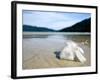 Hibiscus Flower on Beach, Perhentian Islands, Malaysia, Southeast Asia-Porteous Rod-Framed Photographic Print