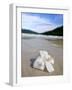 Hibiscus Flower on Beach, Perhentian Islands, Malaysia, Southeast Asia-Porteous Rod-Framed Photographic Print