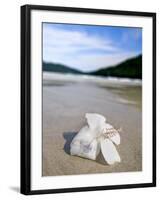 Hibiscus Flower on Beach, Perhentian Islands, Malaysia, Southeast Asia-Porteous Rod-Framed Photographic Print