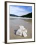 Hibiscus Flower on Beach, Perhentian Islands, Malaysia, Southeast Asia-Porteous Rod-Framed Photographic Print