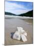 Hibiscus Flower on Beach, Perhentian Islands, Malaysia, Southeast Asia-Porteous Rod-Mounted Photographic Print