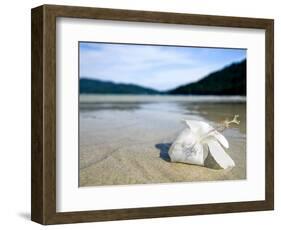 Hibiscus Flower on Beach, Perhentian Islands, Malaysia, Southeast Asia-Porteous Rod-Framed Photographic Print