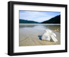 Hibiscus Flower on Beach, Perhentian Islands, Malaysia, Southeast Asia-Porteous Rod-Framed Photographic Print