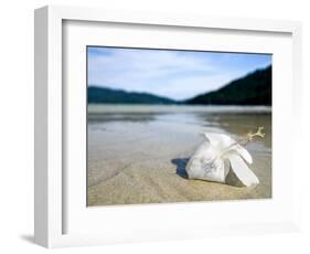 Hibiscus Flower on Beach, Perhentian Islands, Malaysia, Southeast Asia-Porteous Rod-Framed Photographic Print