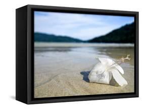 Hibiscus Flower on Beach, Perhentian Islands, Malaysia, Southeast Asia-Porteous Rod-Framed Stretched Canvas