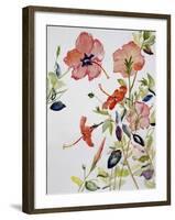 Hibiscus Flowerpiece-Sir Roy Calne-Framed Giclee Print