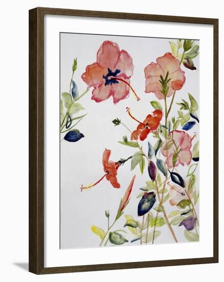 Hibiscus Flowerpiece-Sir Roy Calne-Framed Giclee Print