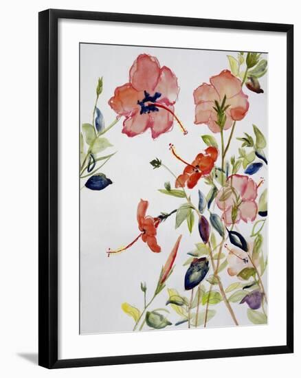 Hibiscus Flowerpiece-Sir Roy Calne-Framed Giclee Print