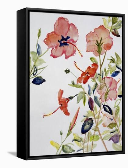 Hibiscus Flowerpiece-Sir Roy Calne-Framed Stretched Canvas