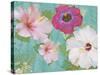 Hibiscus Flowers-Jeffrey Cadwallader-Stretched Canvas