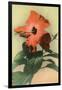 Hibiscus, Hawaii-null-Framed Art Print