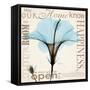 Hibiscus Home-Albert Koetsier-Framed Stretched Canvas