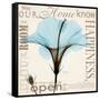 Hibiscus Home-Albert Koetsier-Framed Stretched Canvas