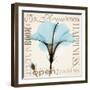 Hibiscus Home-Albert Koetsier-Framed Photographic Print