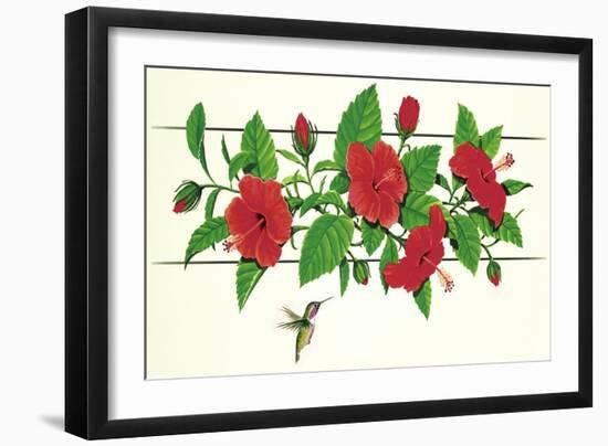 Hibiscus Hummer-null-Framed Giclee Print